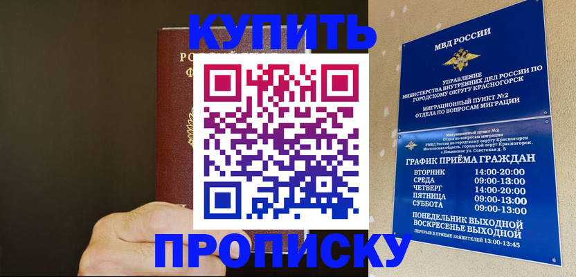 прописка поиск в Лыткарино